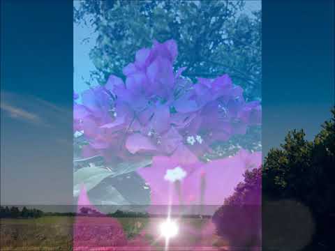 Quê mẹ yêu dấu - Xuân Phú