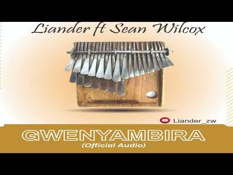 Liander-Gwenyambira ft SeanWilcox
