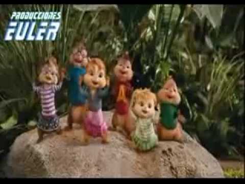 ALVIN Y LAS ARDILLAS MAICITO PATA AMARILLA