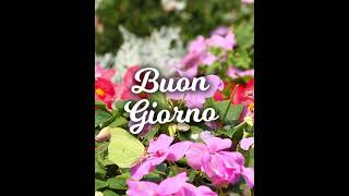 Buongiorno con Farfalle