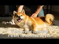 Die With A Smile Cover Instrumental