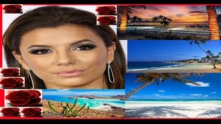 SPANISH CLASSICAL GUITAR TANGO FLAMENCO RUMBA HABANERA LA PALOMA CARMEN Florian Stollmayer