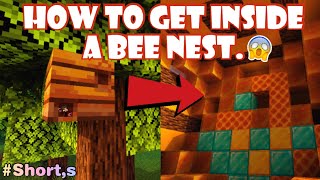 How to get inside a bee nest in Minecraft [No mod