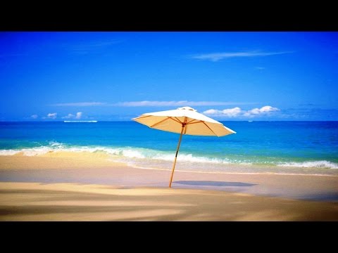 Chris Rea - Looking For The Summer (Instrumental Remake)