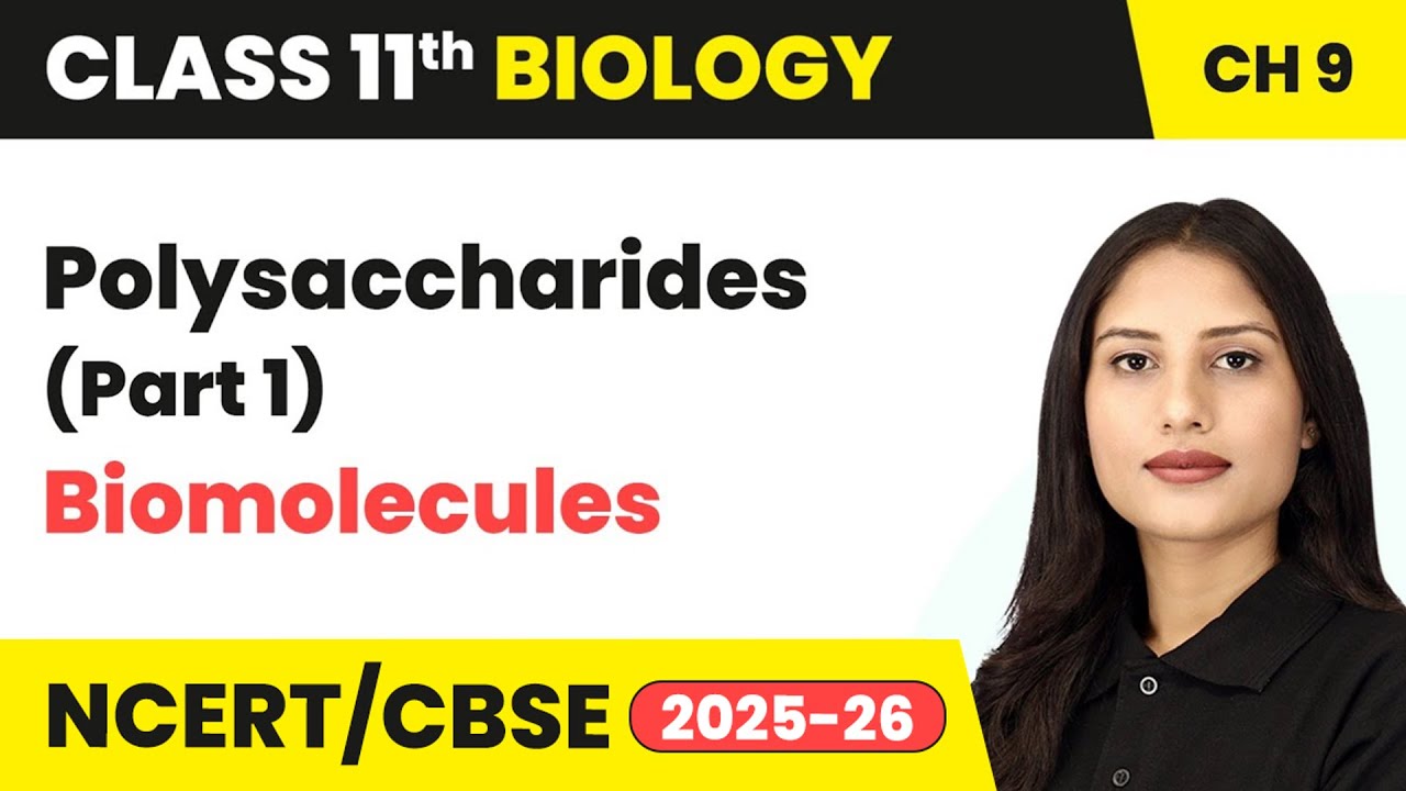 Polysaccharides (Part 1) - Biomolecules | Class 11 Biology Chapter 9 | CBSE 2024-25