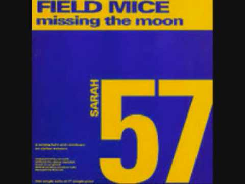 field mice missing the moon