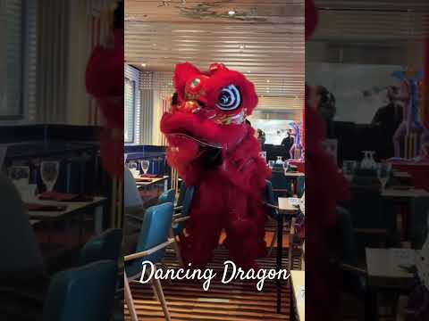 Thumbnail for Dancing Dragon on Carnival Mardi Gras, while having dinner #travel #cruisetour #flamencomusic
