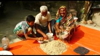 গল্প নয় সত্যি