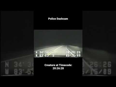 Bigfoot Caught on Police DashCam! #bigfoot #dashcam #