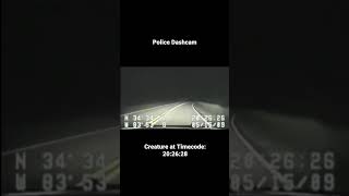 Download lagu Bigfoot Caught on Police DashCam! #bigfoot #dashcam # mp3
