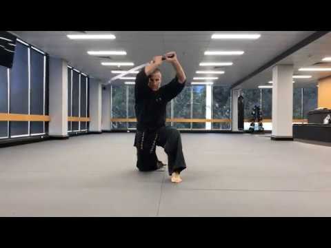<h3>Pung RYU Kom – Australian Hapkido Association (AHA)</h3>