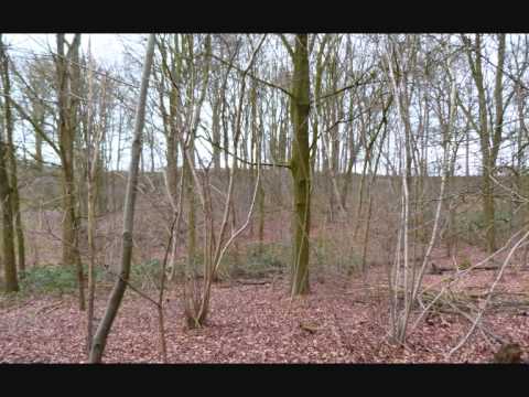 Verlaten steengroeven