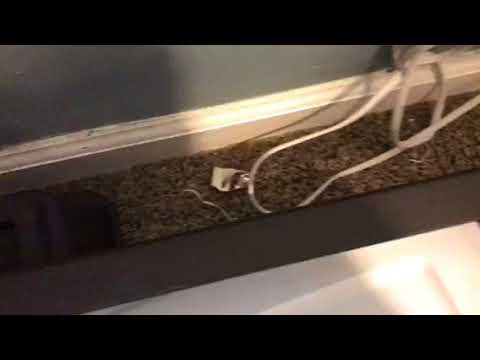 Bed bug found in luggage after vacation from Rumson, NJ