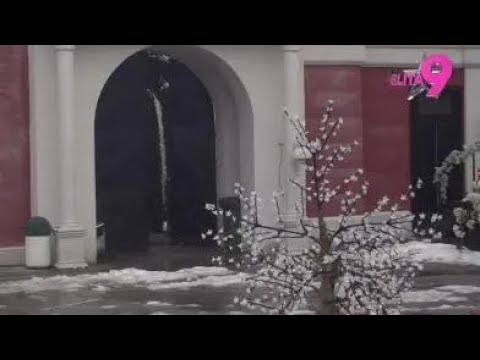 UŽIVO NA PINKU: Vanredni ulazak u Zadrugu 9 Elitu koji danas niko nije očekivao