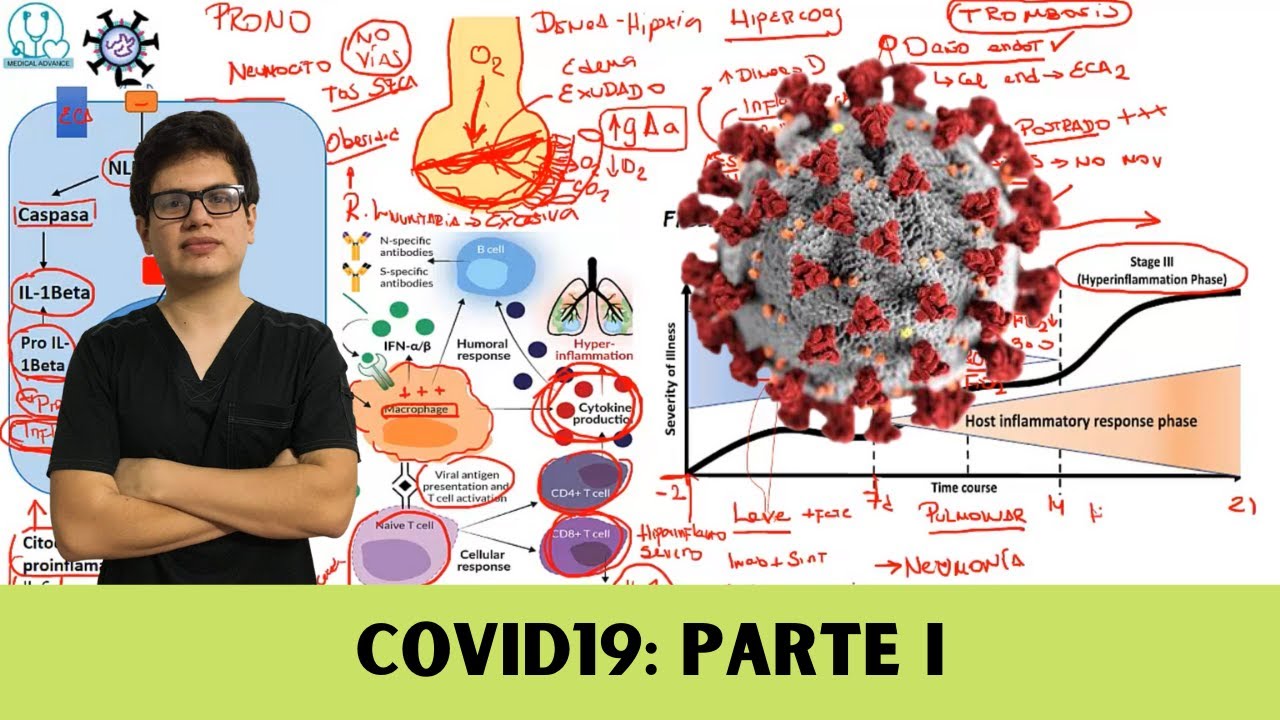 COVID19: Resumen para estudiantes de medicina | Parte 1