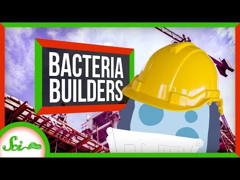 The Secret to Super Strong Concrete Is... Bacteria?