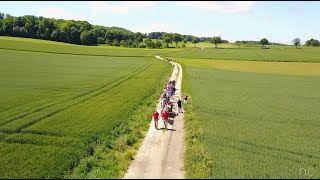 Khai - Into The Dark | Balade Des Ânes