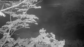 雲場池