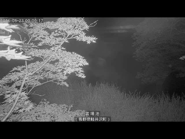 雲場池