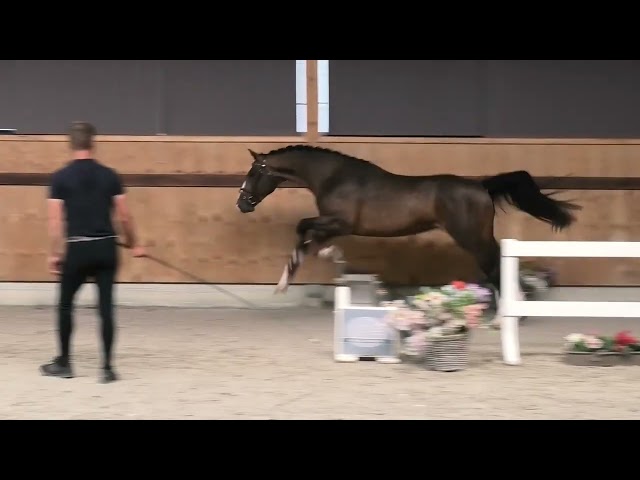 Jumping