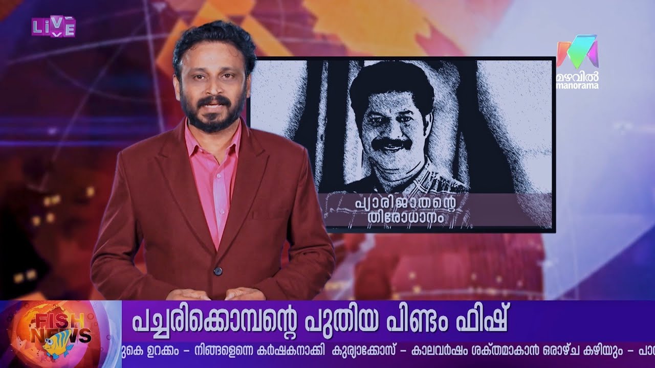 #PROMO | പ്യാരിയുടെ തിരോധാനം 😳⚰️ | #marimayam |