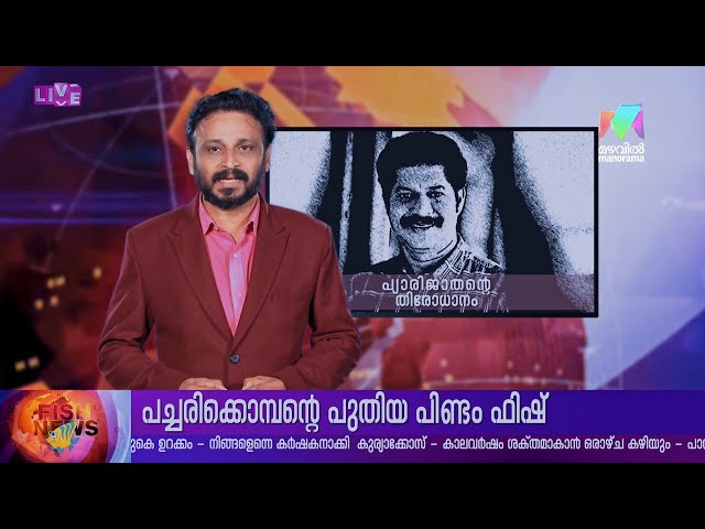 #PROMO | പ്യാരിയുടെ തിരോധാനം 😳⚰️ | #marimayam |
