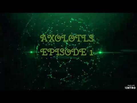 ALL ABOUTS AXOLOTLS EPISODE 1