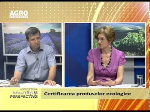 Realitati si Perspective 23 06 2013