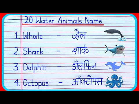 20 Water Animals Name in hindi and english | water animals | water animals name | जलीय जीव