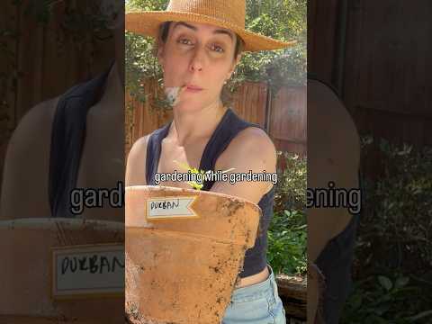 Can Durban Poison Survive This Tiny Pot? #ILGM