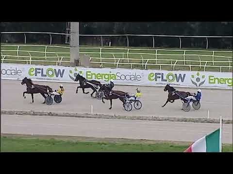 Napoli Trotto 19/01/2026 - prova di qualifica