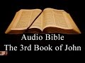The Third Book of John  - NIV Audio Holy Bible - High Quality and Best Speed - Book 64