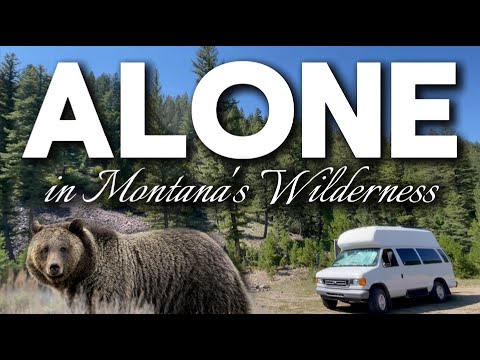 Off-Grid In Grizzly Bear Country | Vanlife Montana Free Camping Alone!