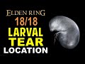 All 18 Larval Tear Locations | Elden Ring