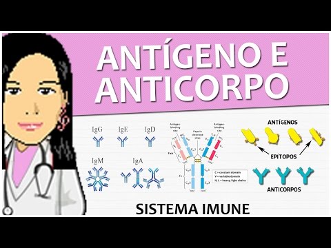 In che il parassita differisce da un simbionte Come liberarsi da parassiti in un sofà