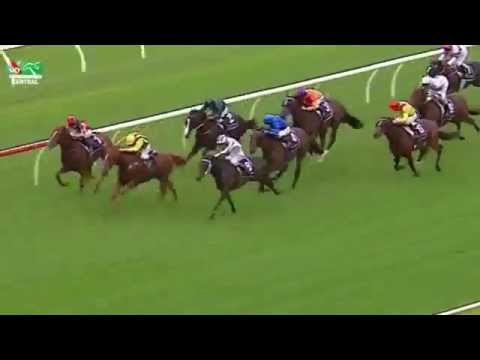 CHAMPAGNE STAKES 2015 - Pasadena Girl