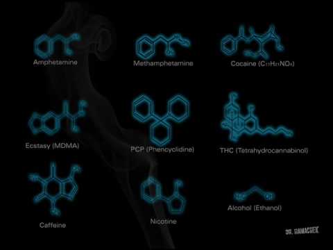 Talamasca vs. Silicon Sound - Lysergic Warp