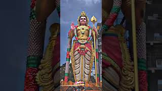 Download lagu Vadivelu Sir✨ dialogue😍 Murugan WhatsApp Status in Tamil🙏||#vadivelu #murugan #dialogue #bgm #music mp3