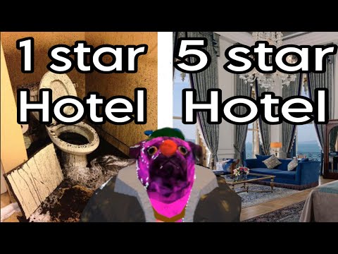 ￼￼Try￼i 1 star vs 5 star hotels in animal company 