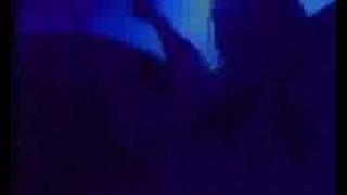 Forbidden - No Reason