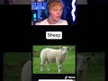 Hybrid Animals You Didn T Know Existed