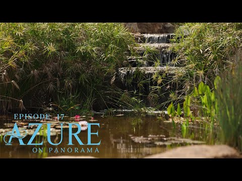 Azure on Panorama | Episode Seventeen