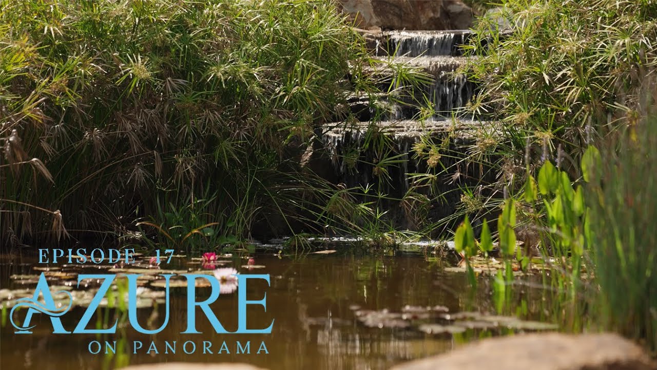 Azure on Panorama | Episode Seventeen