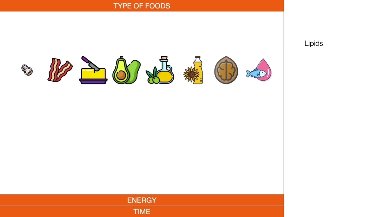 Nutrients beyond absorption - Diets and macronutrients (Part 1)