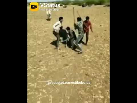 Amigos video