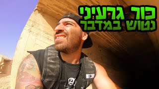 מצאתי דברים מוזרים במדבר !