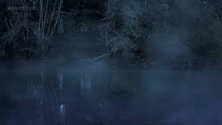🐸 Night Forest Sounds in a Foggy Rainy Swamp / Relaxing Nature Marshland with Rain & Frogs Croaking
