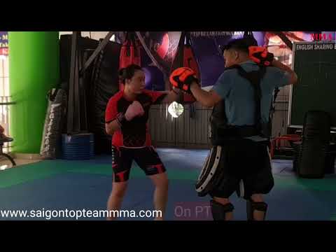 PT  Võ Tự Vệ Tổng Hợp 