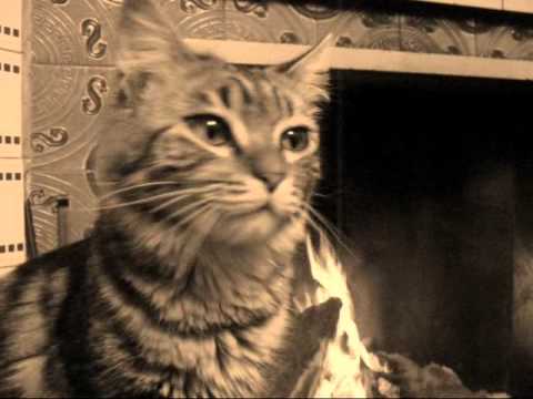 ANTONELLO BRUNETTI - MIDWINTER SONG