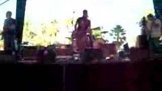 Cross Canadian Ragweed Number